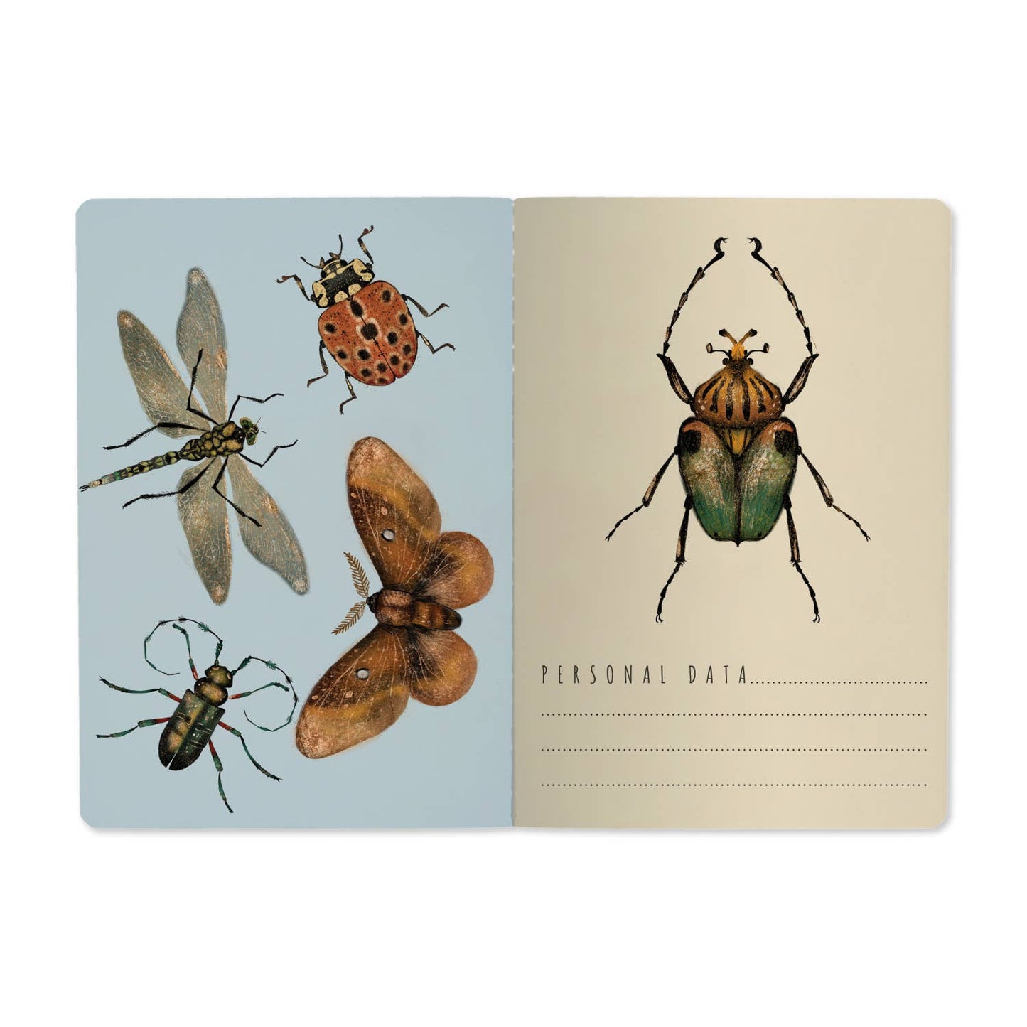 Entomology - A5 Notebook