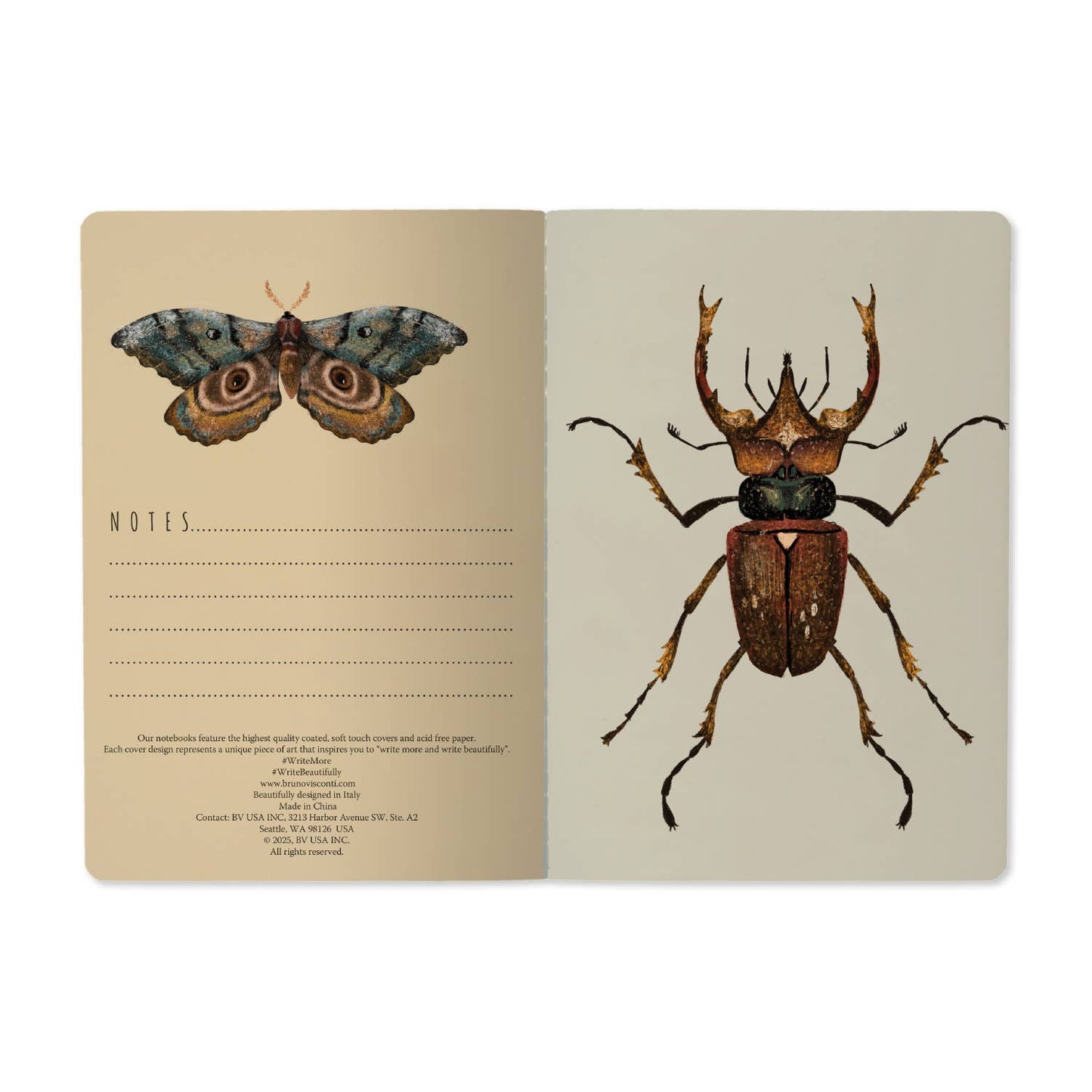 Entomology - A5 Notebook