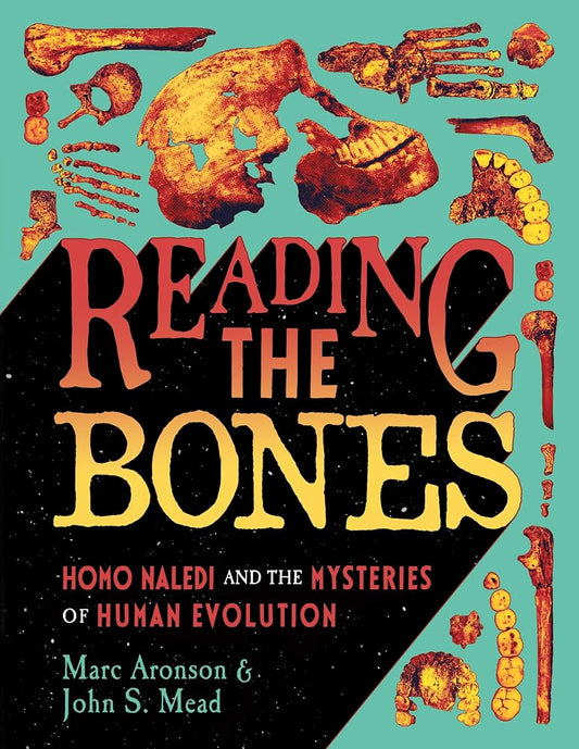 Reading the Bones: Homo Naledi and the Mysteries of Human Evolution cover image