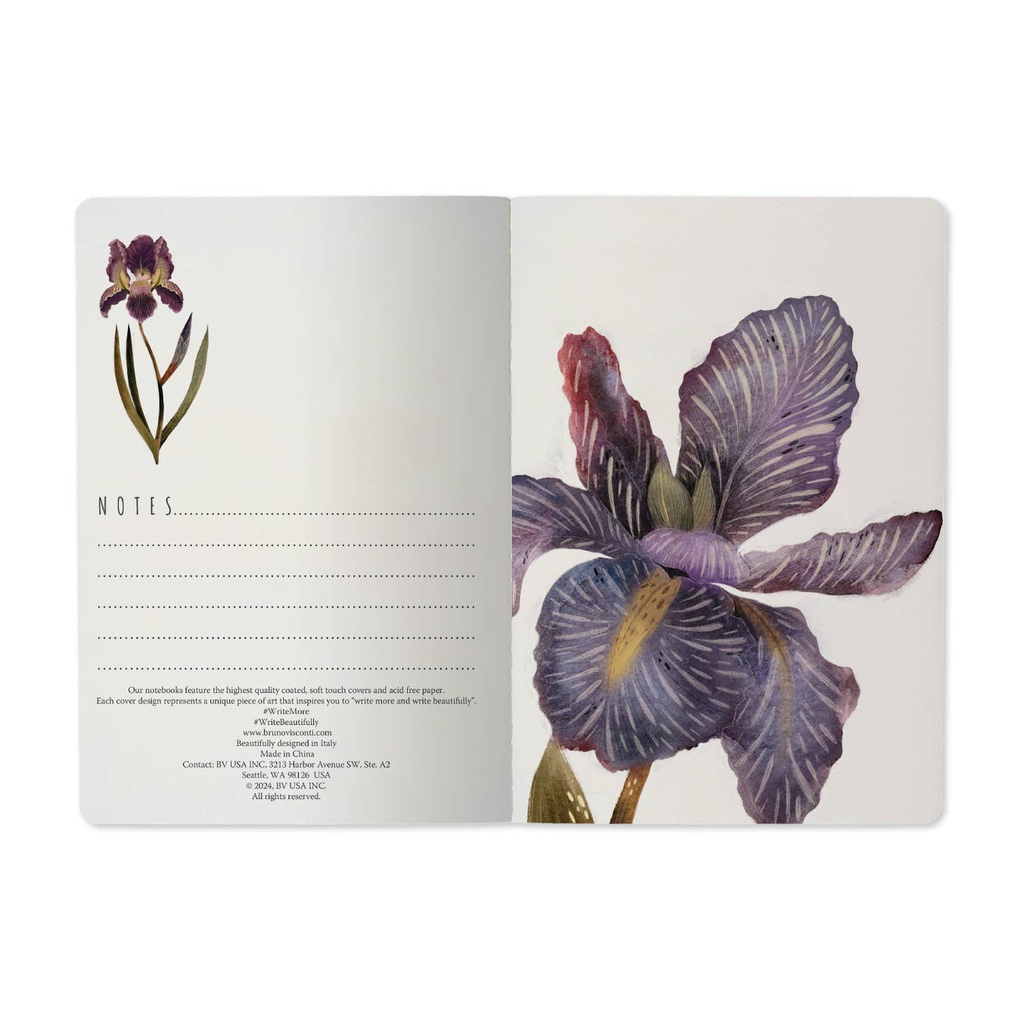 Irises - A5 Notebook